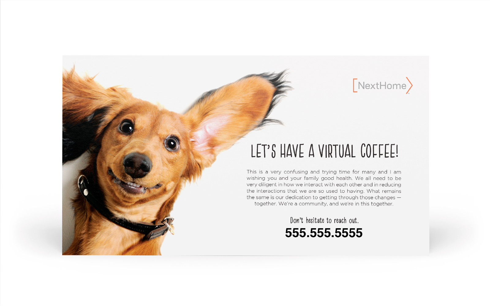 Corefact The Helpful Dachshund Corefact The Helpful Dachshund