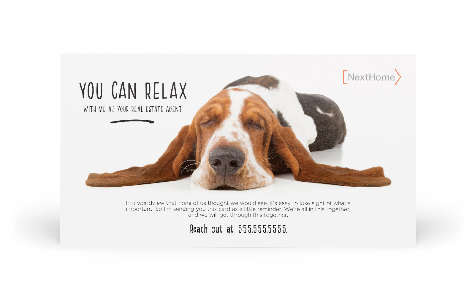 Corefact The Relaxed Hound Corefact The Relaxed Hound