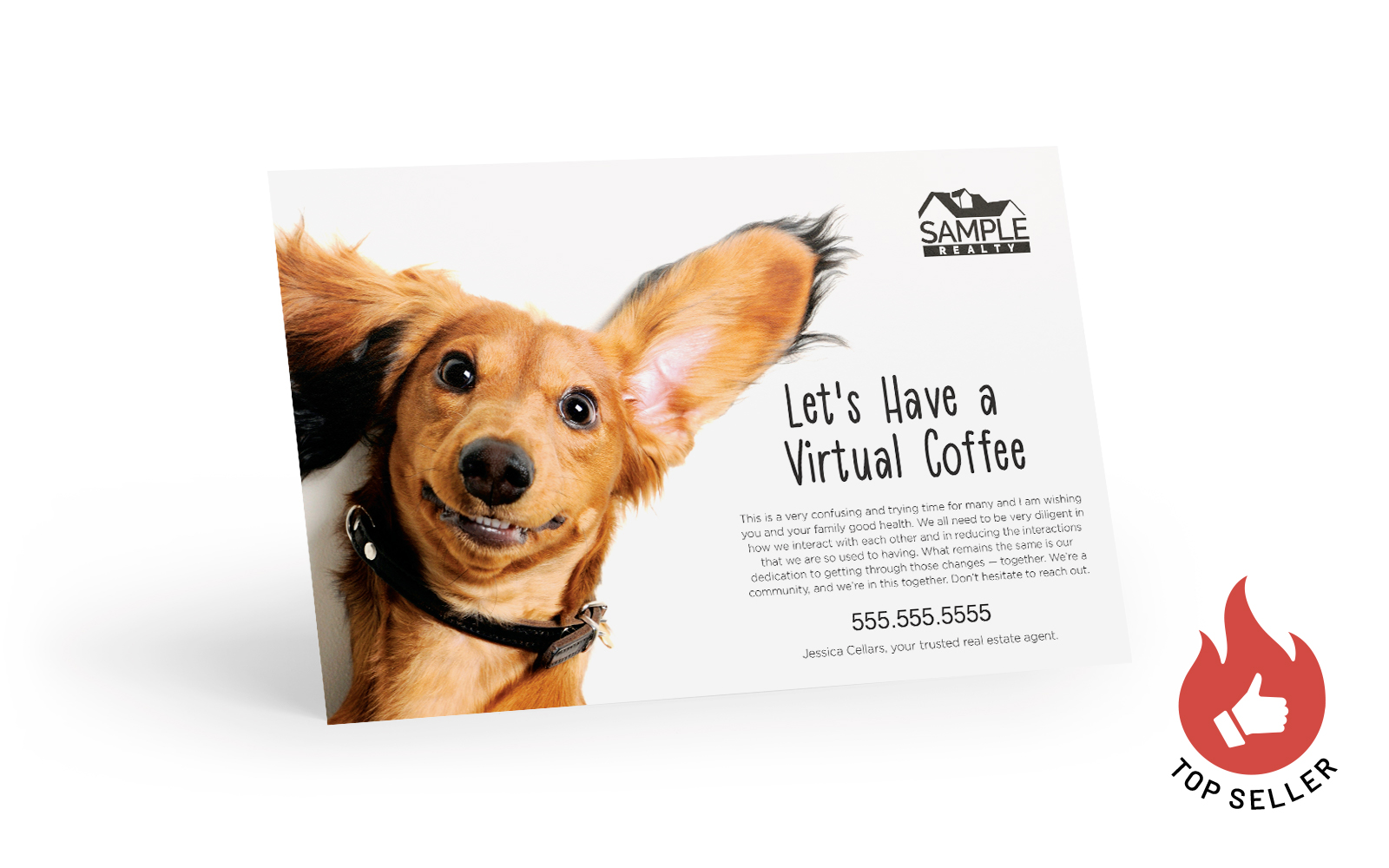 Corefact COVID-19 - The Helpful Dachshund Corefact COVID-19 - The Helpful Dachshund