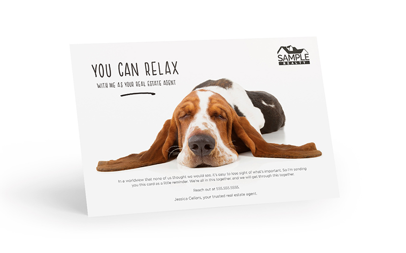 Corefact COVID-19 - The Relaxed Hound Corefact COVID-19 - The Relaxed Hound