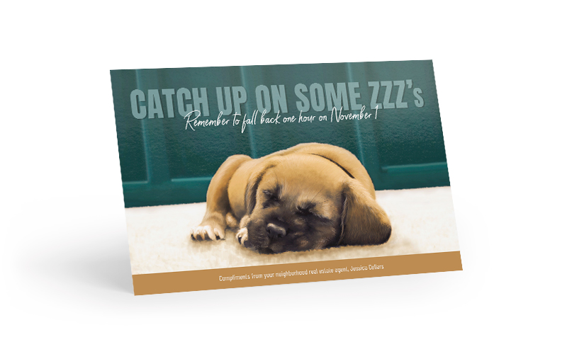 Corefact Seasonal - Fall Back Pup Corefact Seasonal - Fall Back Pup