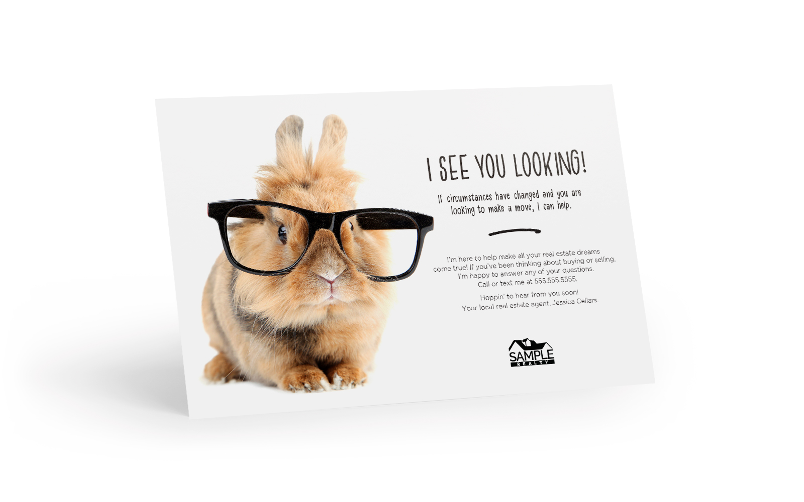 Corefact Bright Side - The Farsighted Bunny Corefact Bright Side - The Farsighted Bunny